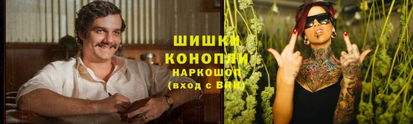 ПСИЛОЦИБИНОВЫЕ ГРИБЫ Лихославль