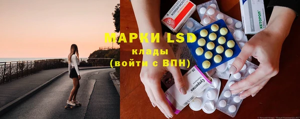 ПСИЛОЦИБИНОВЫЕ ГРИБЫ Лихославль