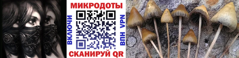 как найти наркотики  Лиски  Псилоцибиновые грибы MAGIC MUSHROOMS 