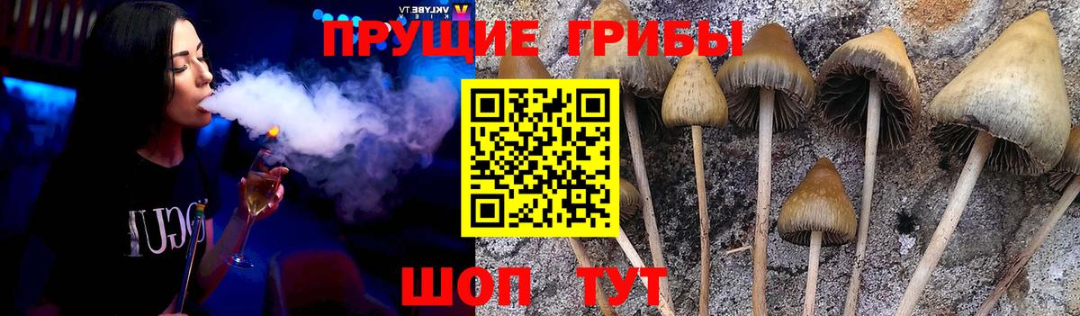 Галлюциногенные грибы прущие грибы  Псилоцибиновые грибы мицелий  Лиски  Вход с VPN 